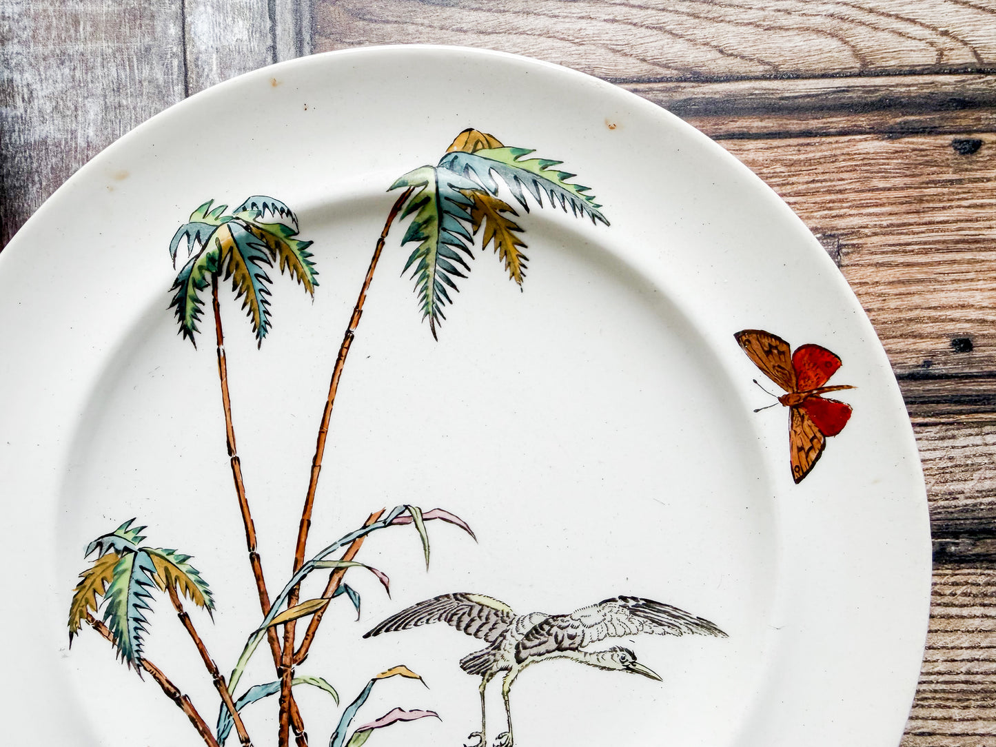 Set of 2 Copeland Palms & Egret Ironstone Polychrome 8.5" Salad Plates, c1870