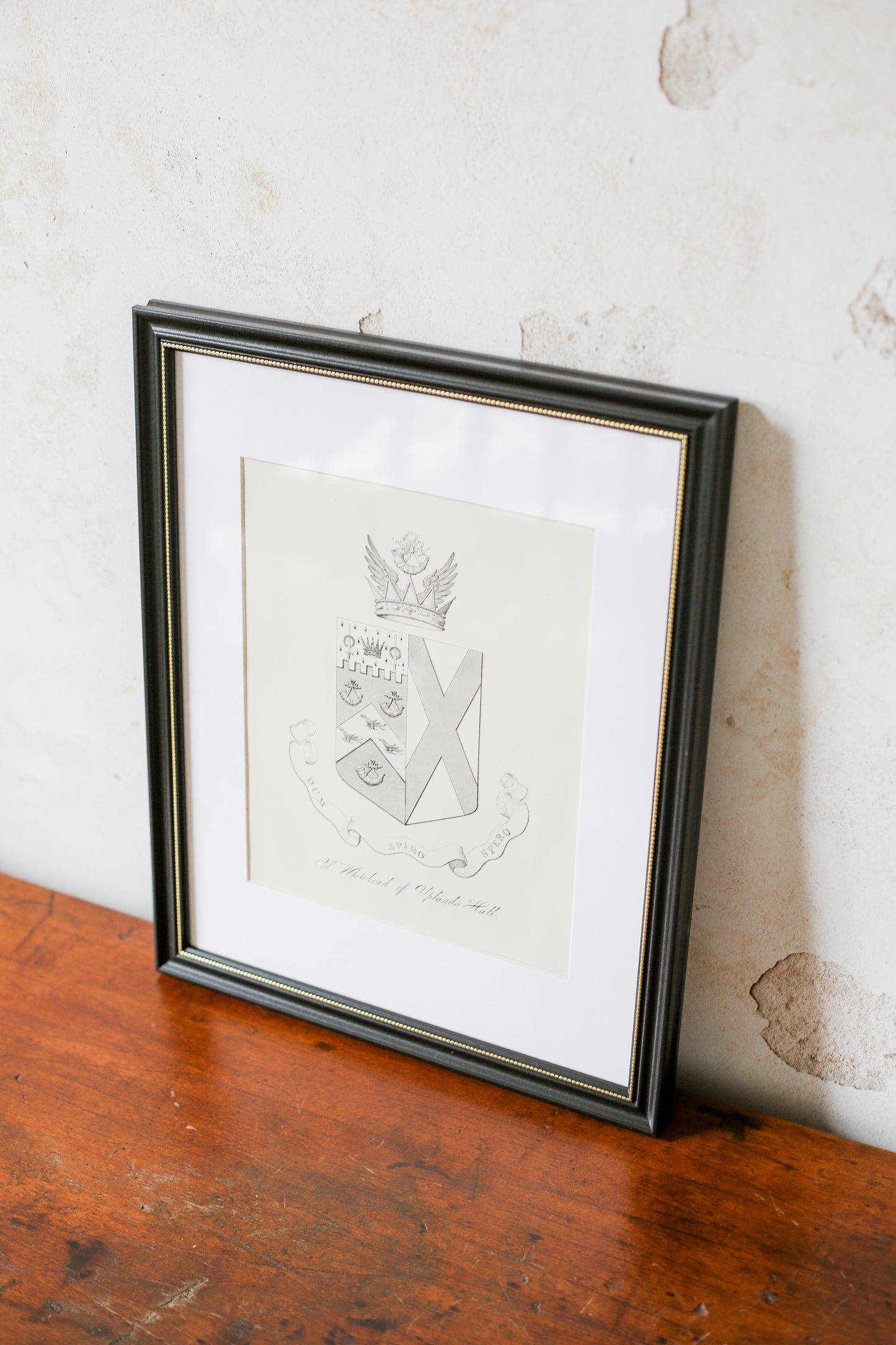 19th Century Coat of Arms of Col. Whitehead, Uplands Hall, Lancashire | Contemporary Black and Gilt Frame