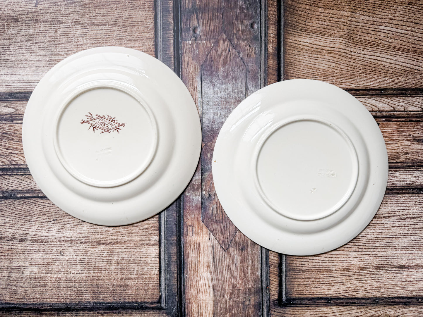 Set of 2 Exotique by Longchamp French Terre de Fer Ironstone Dinner Plates, c1900