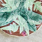 Antique Victorian Majolica Fern & Flower Plate, Attrib. to Thomas Forester, c1870