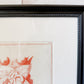 Antique Fetal Anatomy Engraving from Culpeper's English Physician, c1800 - "Position of the Child in the Womb Just Before Delivery" in Custom Frame