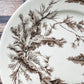 Seawood Brown Transferware Dinner Plate by Wedgwood, c1880