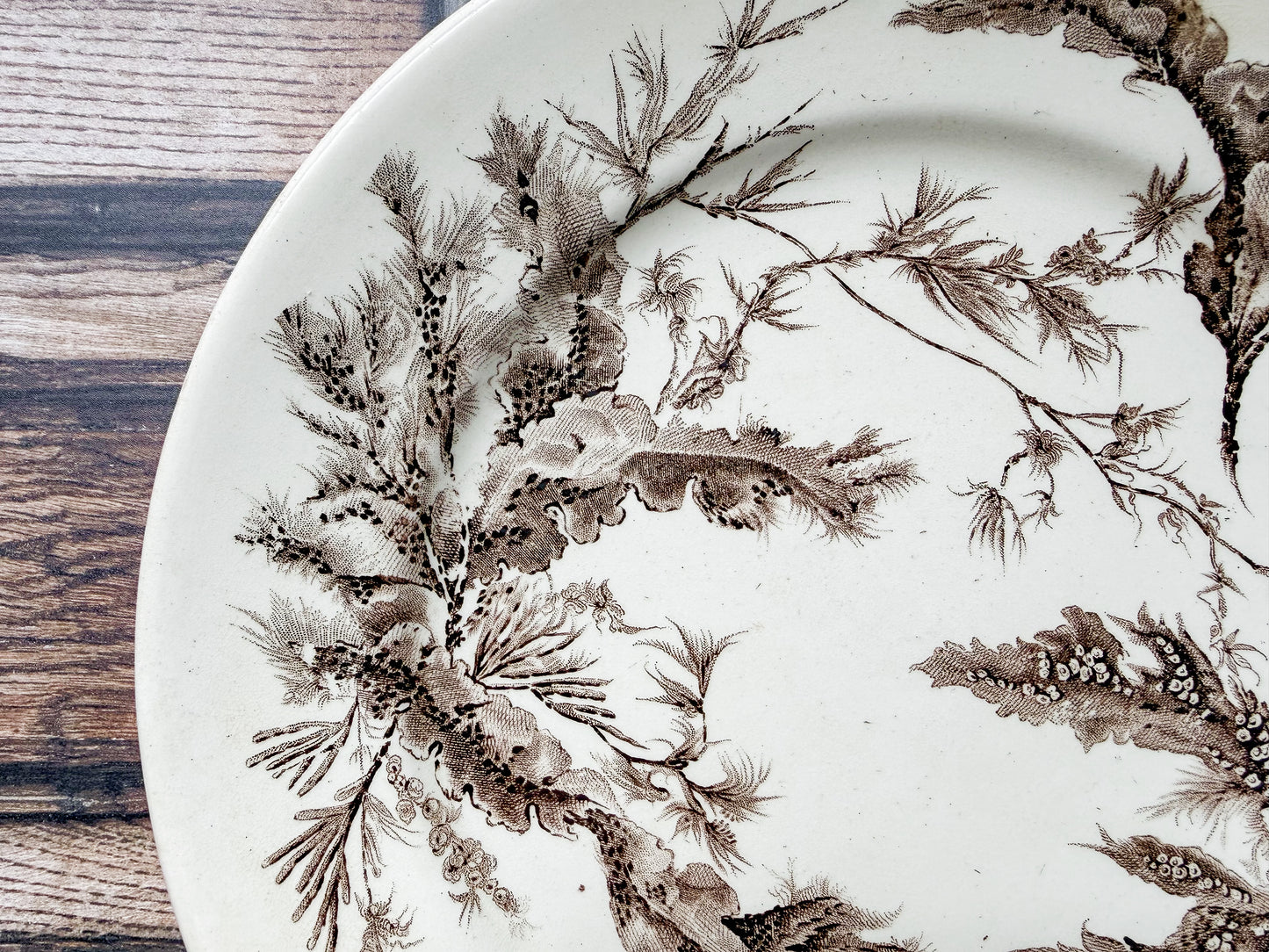 Seawood Brown Transferware Dinner Plate by Wedgwood, c1880