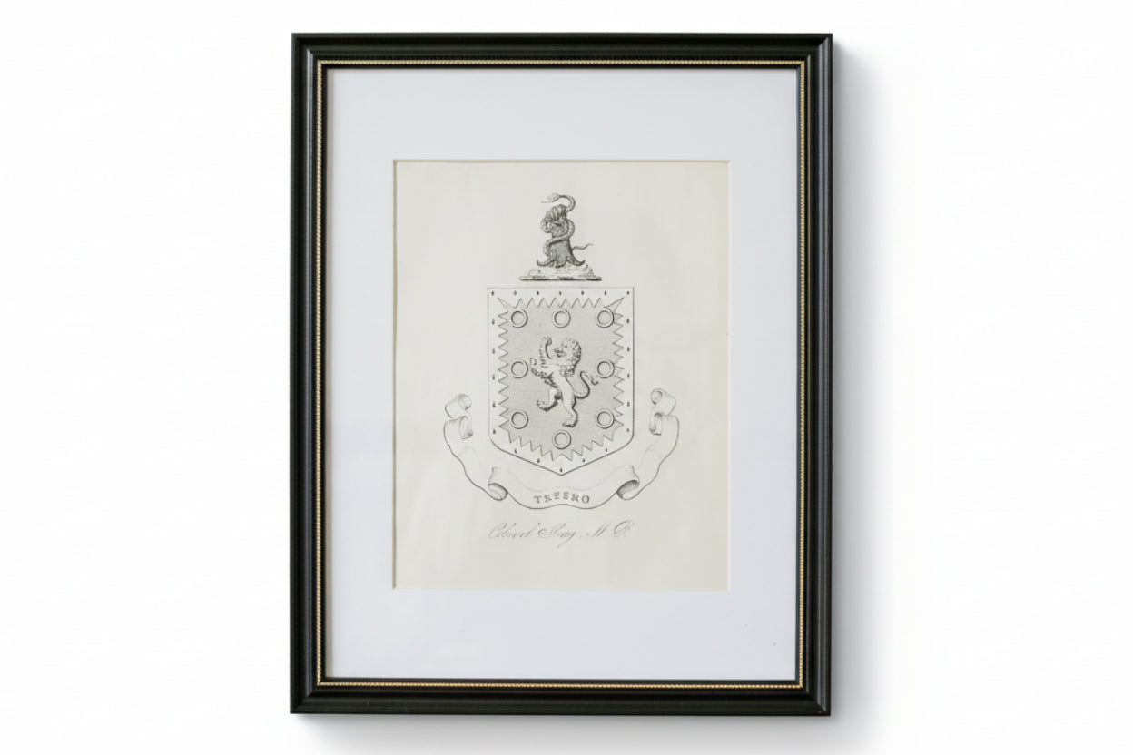 Framed family crest on a textured wall