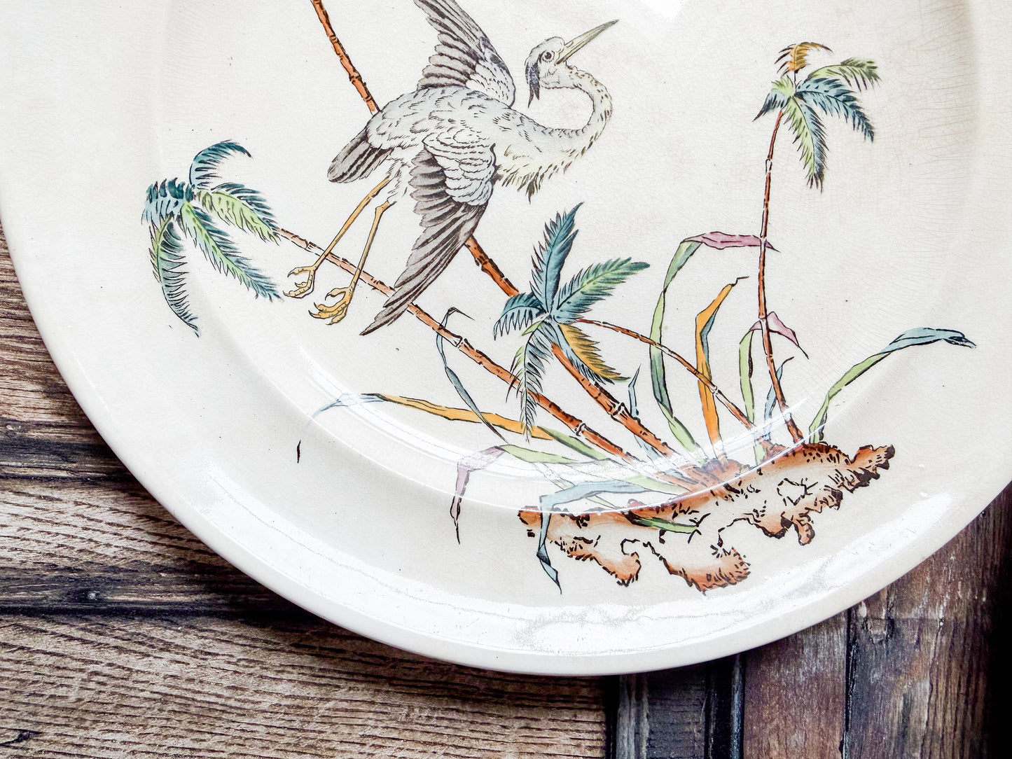 Set of 2 Copeland Palms & Egret Ironstone Polychrome 10" Dinner Plates, c1870