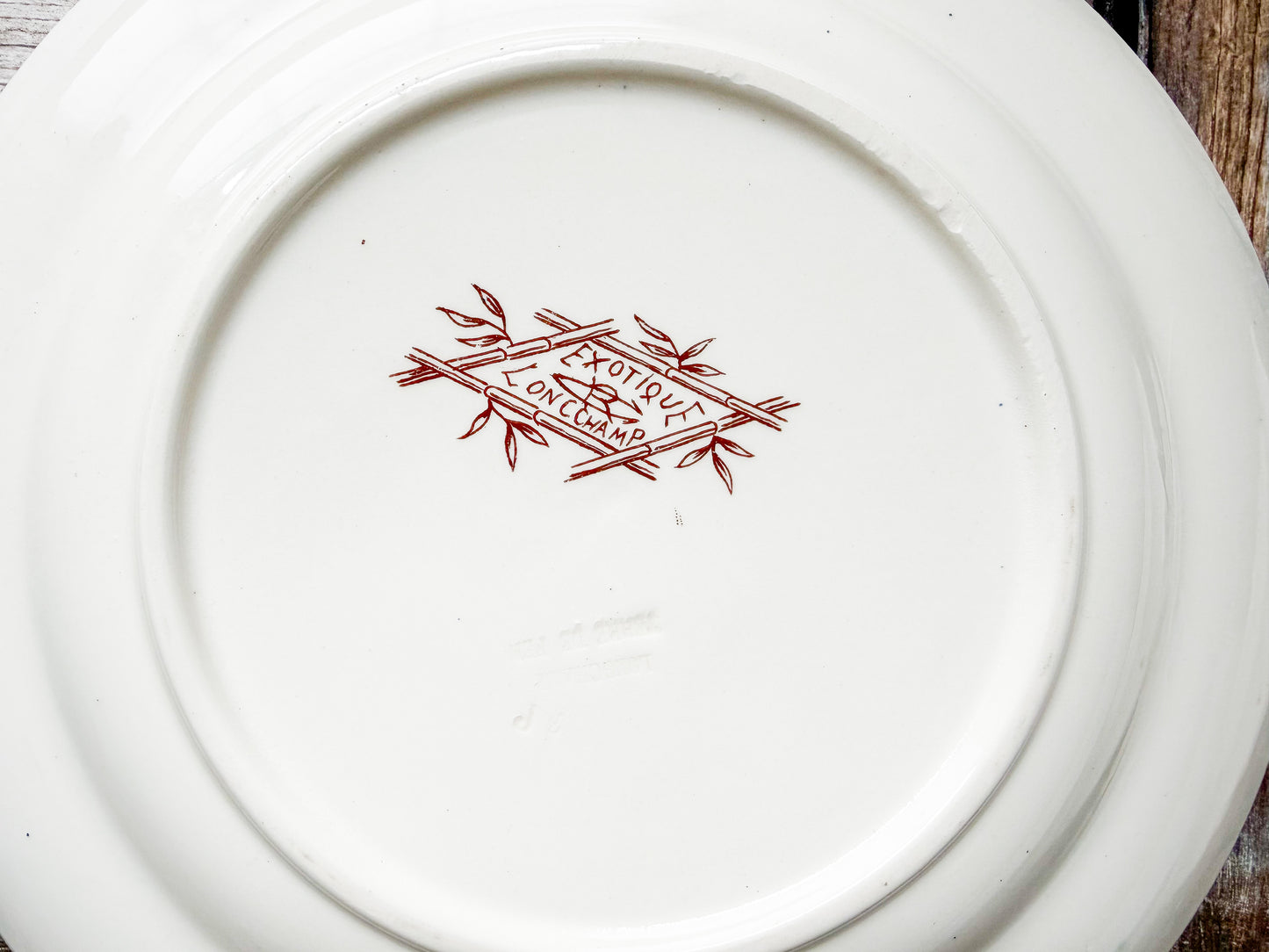 Set of 2 Exotique by Longchamp French Terre de Fer Ironstone Dinner Plates, c1900