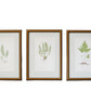 Three framed botanical art prints featuring green fern illustrations on white backgrounds, set in gold frames against a textured light beige wall.