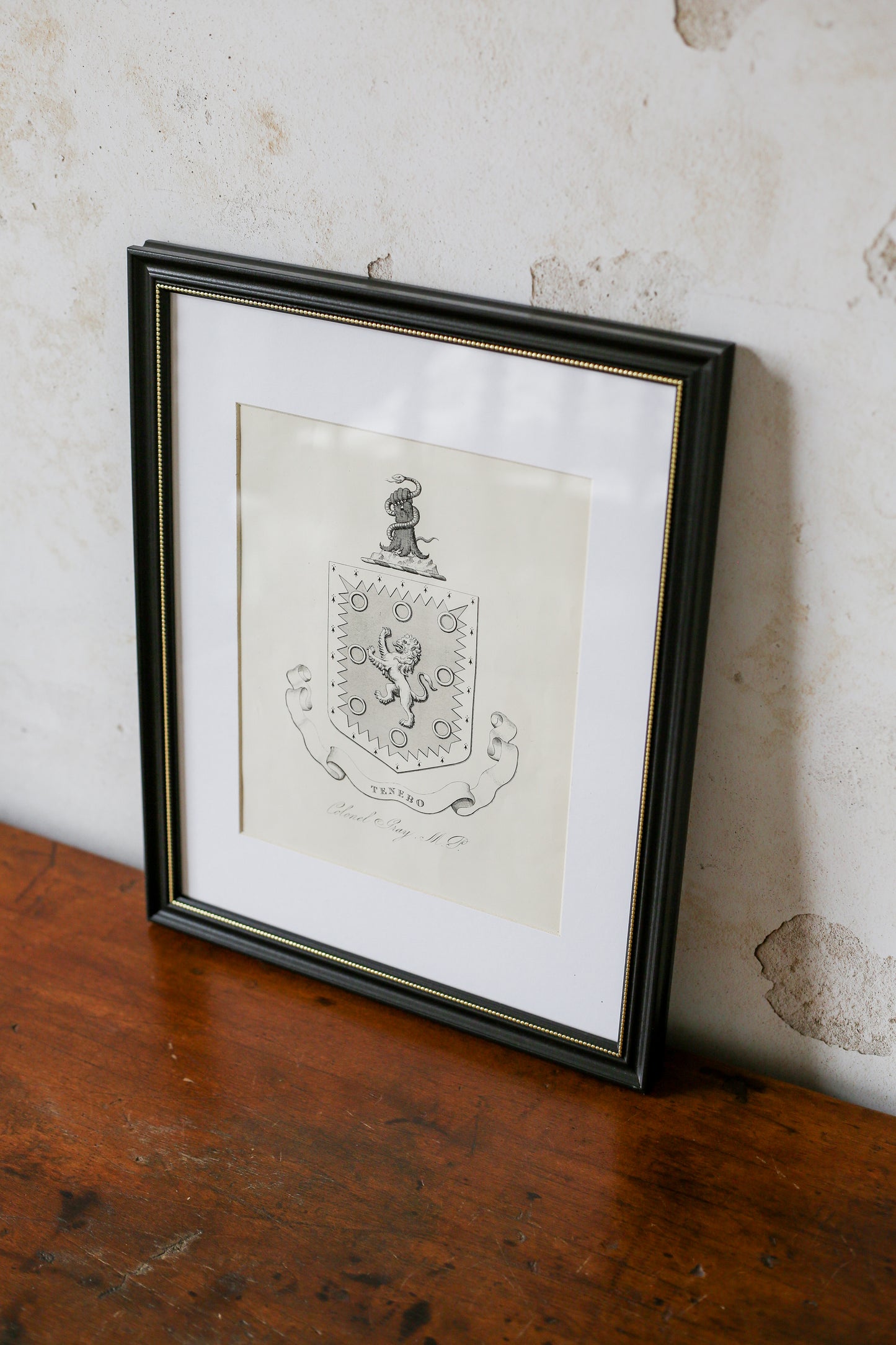 19th Century Coat of Arms of Colonel Gray, MP | Contemporary Black and Gilt Frame