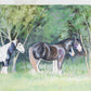Acrylic Painting of English Draft Horses, Attributed to Glynis Mills