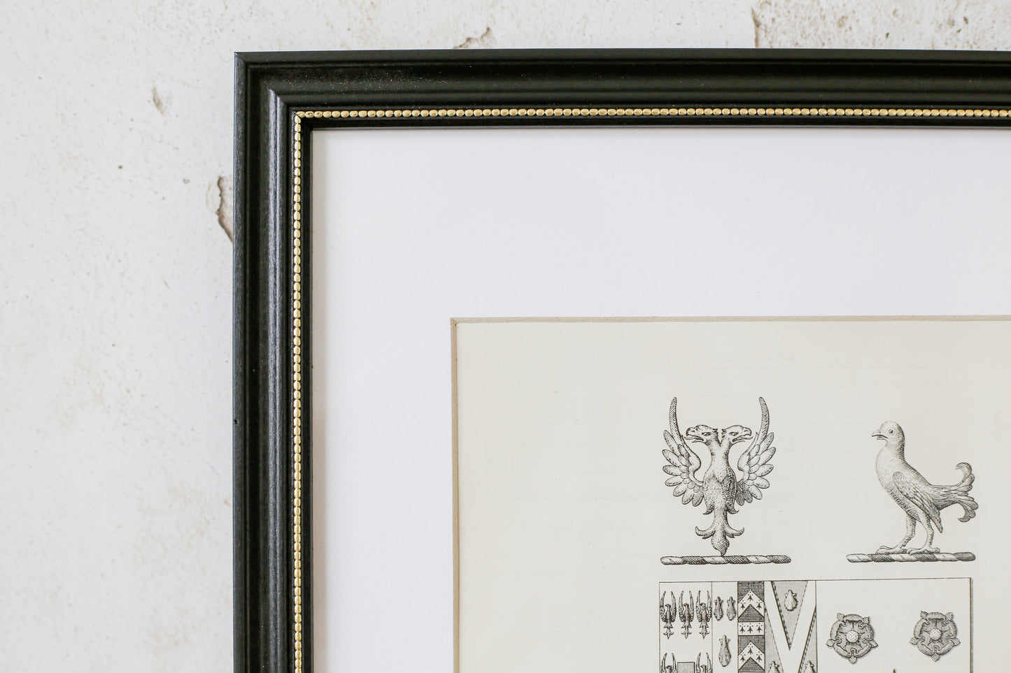 19th Century Coat of Arms of Holden, Reedly House, Lancashire | Contemporary Black and Gilt Frame