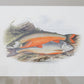 Antique Sporting Fish Bookplates (c1880) in Custom Rustic Wood Frames and Sage Green Mats