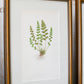 Antique Fern Bookplates (c1860) in Custom Beaded Gold Frames and Celery Green Mat