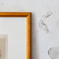 Antique English Pink Cabbage Rose Chromolithograph (c. 1868) in Custom Brushed Gold Frame