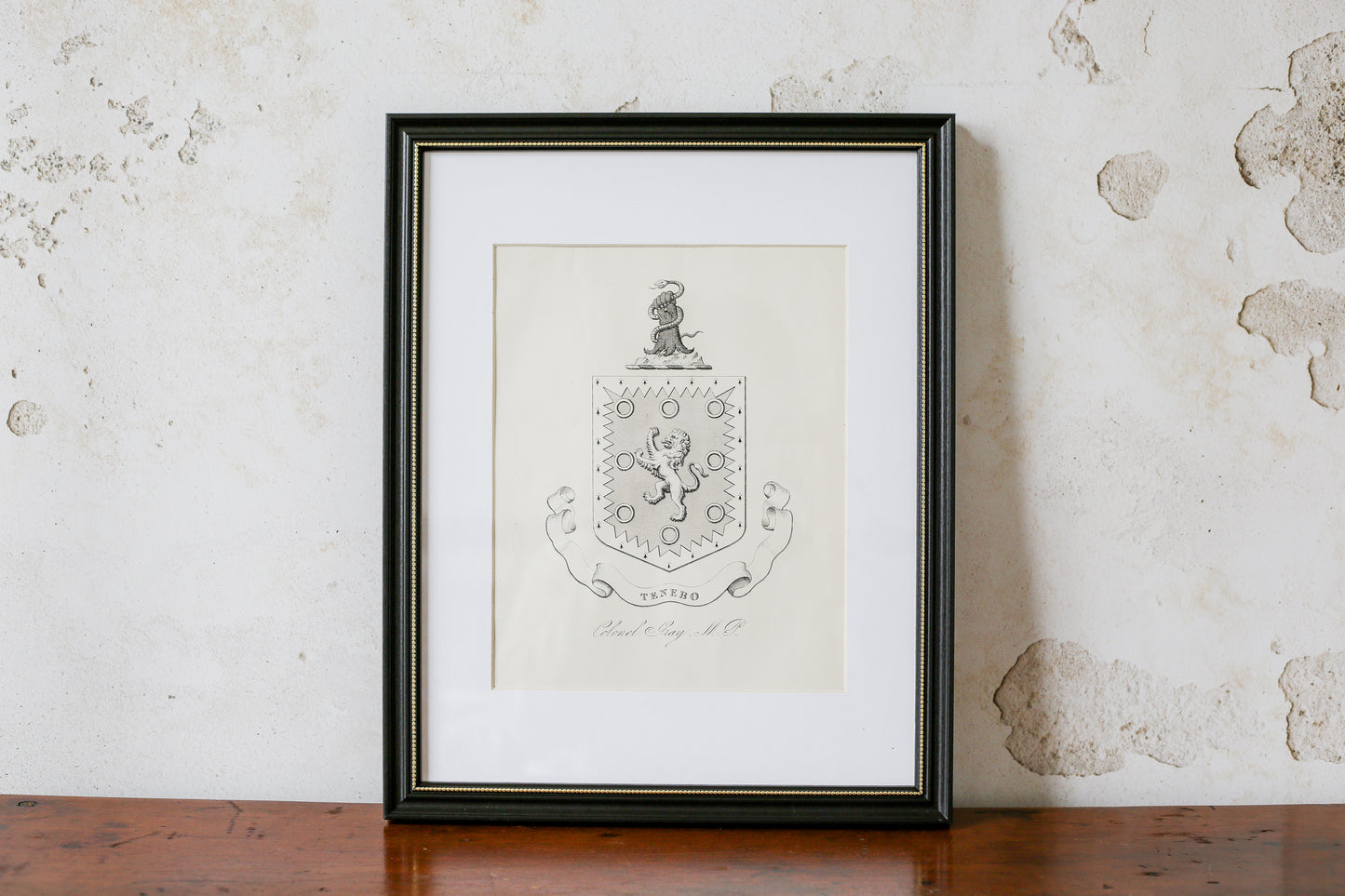 19th Century Coat of Arms of Colonel Gray, MP | Contemporary Black and Gilt Frame