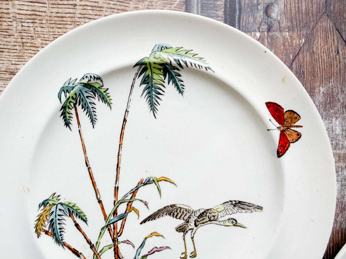 Set of 2 Copeland Palms & Egret Ironstone Polychrome 8.5" Salad Plates, c1870