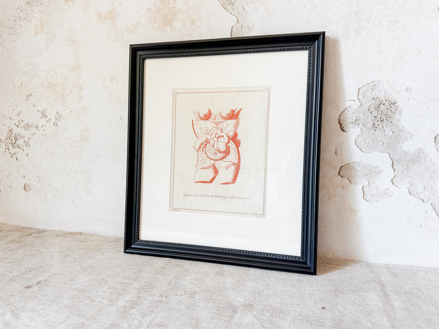 Antique Fetal Anatomy Engraving from Culpeper's English Physician, c1800 - "Position of the Child in the Womb Just Before Delivery" in Custom Frame