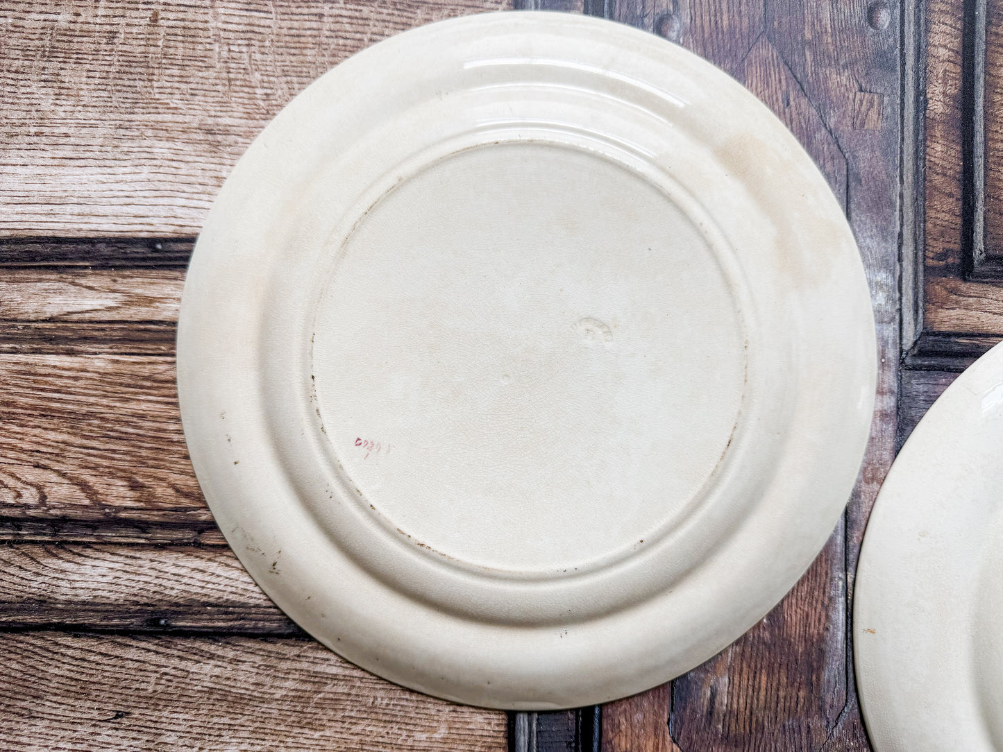 Set of 2 Copeland Palms & Egret Ironstone Polychrome 10" Dinner Plates, c1870