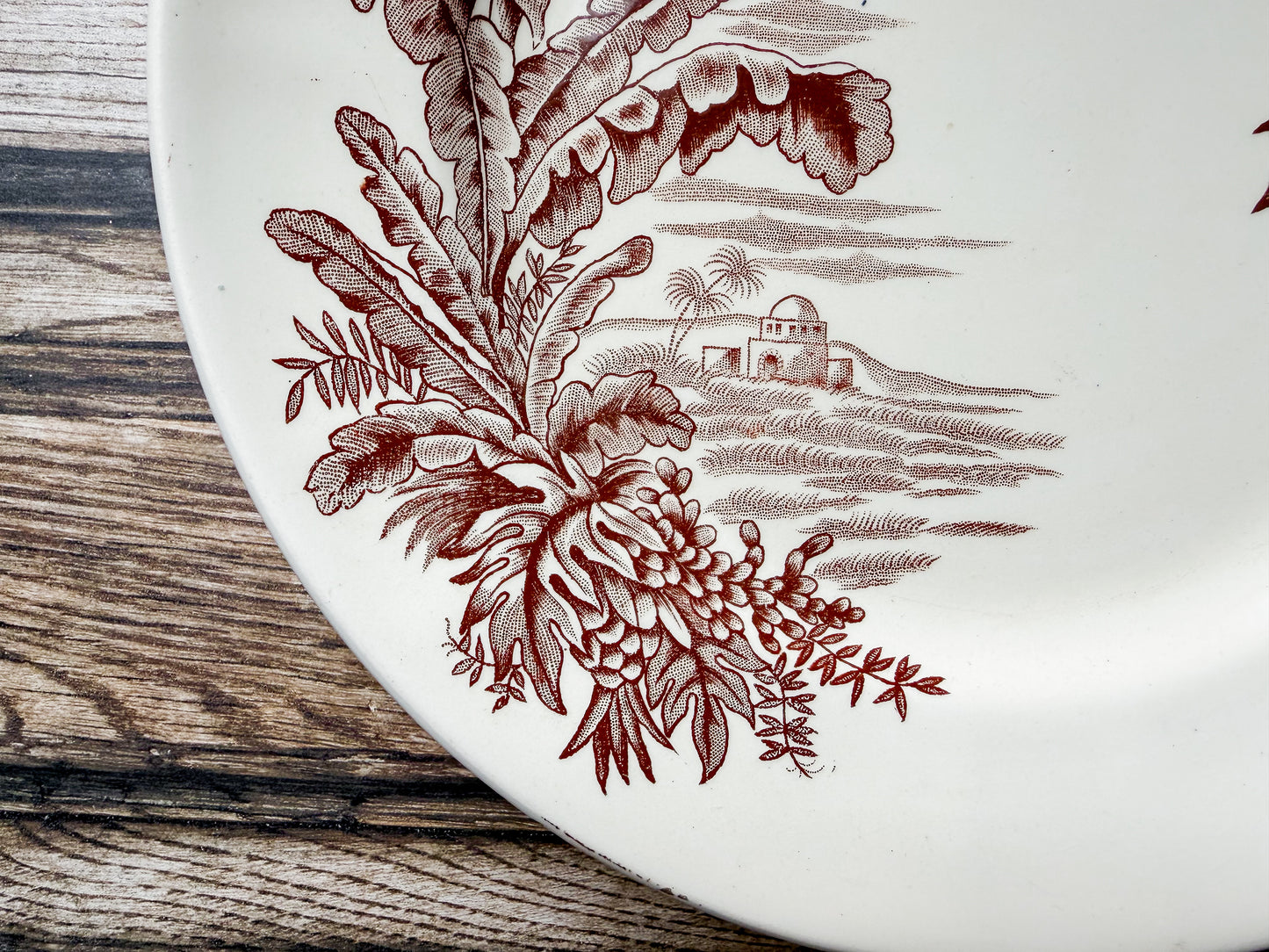 Set of 2 Exotique by Longchamp French Terre de Fer Ironstone Dinner Plates, c1900