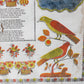 1825 Pennsylvania Dutch Fraktur Folk Art Birth Certificate
