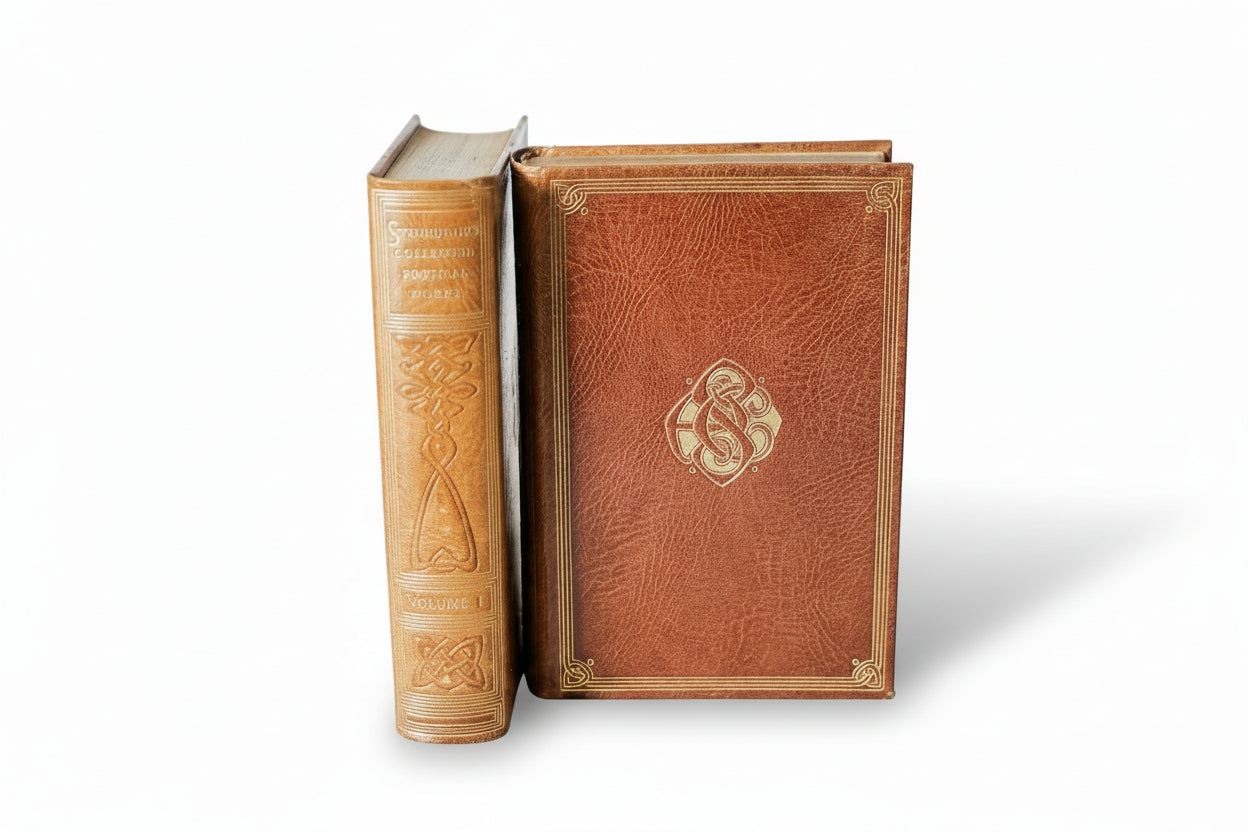 Two ornate leather-bound books on a light wooden surface with a white background