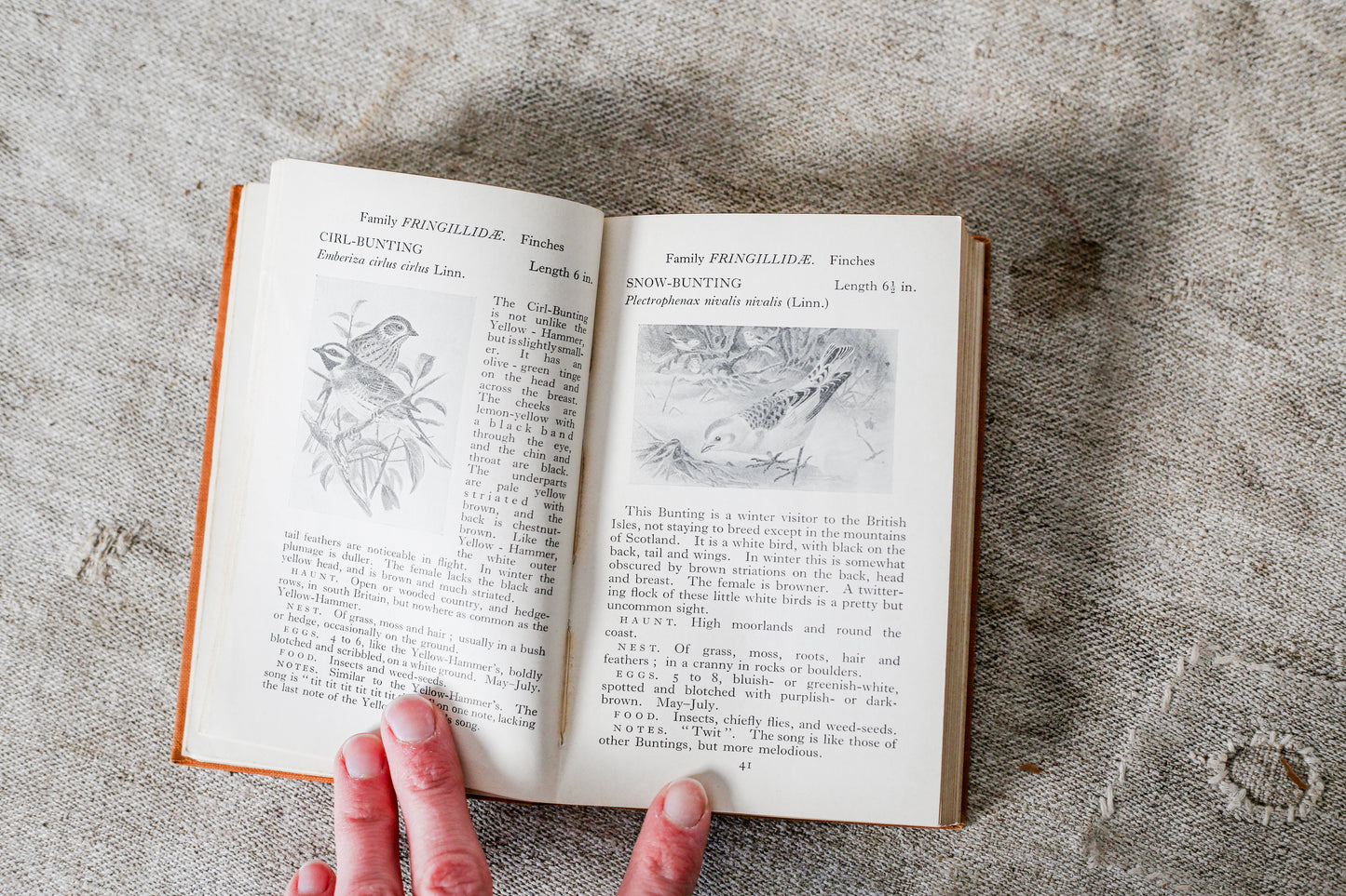 The Observer's Book of British Birds First Edition, 1937