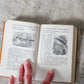 The Observer's Book of British Birds First Edition, 1937