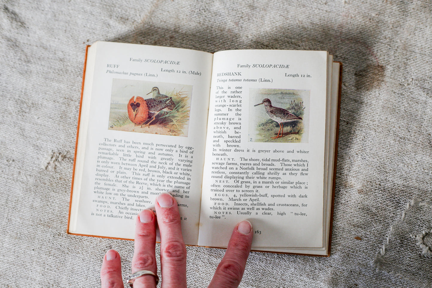 The Observer's Book of British Birds First Edition, 1937