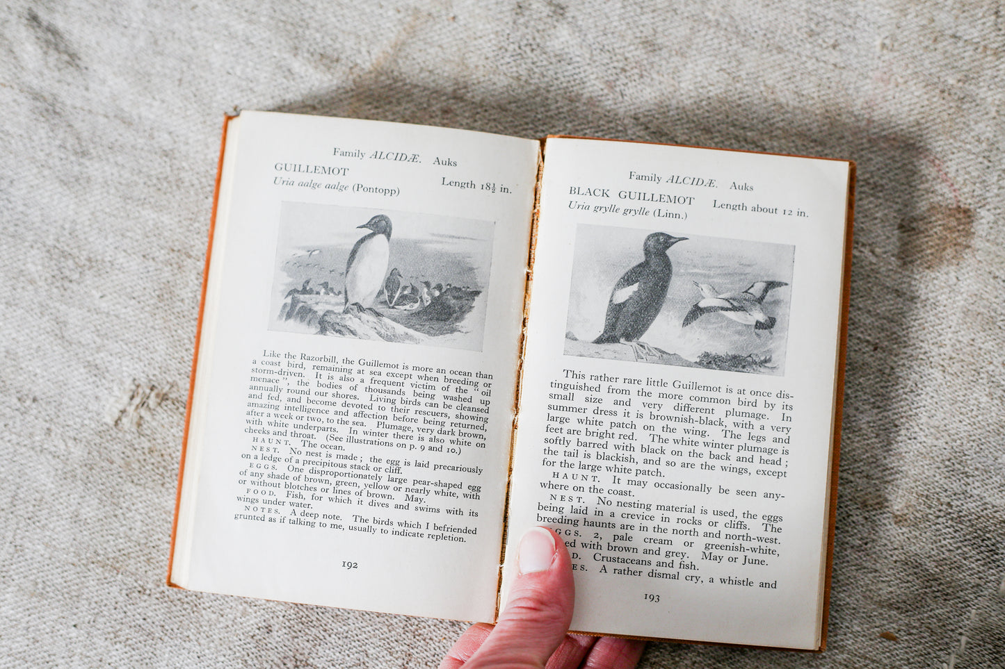 The Observer's Book of British Birds First Edition, 1937