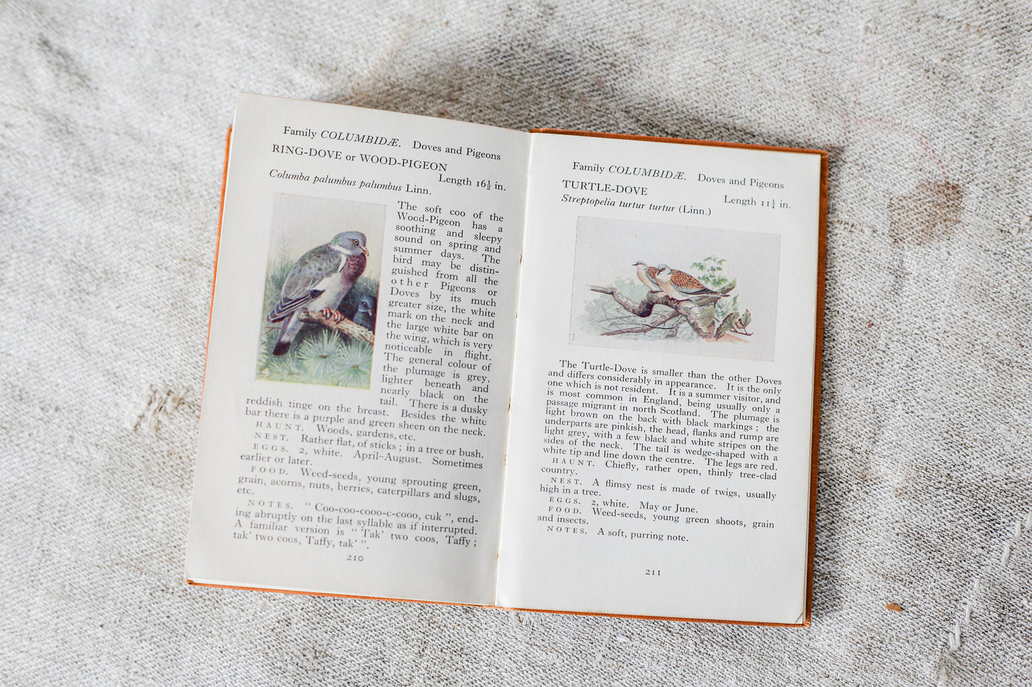 The Observer's Book of British Birds First Edition, 1937