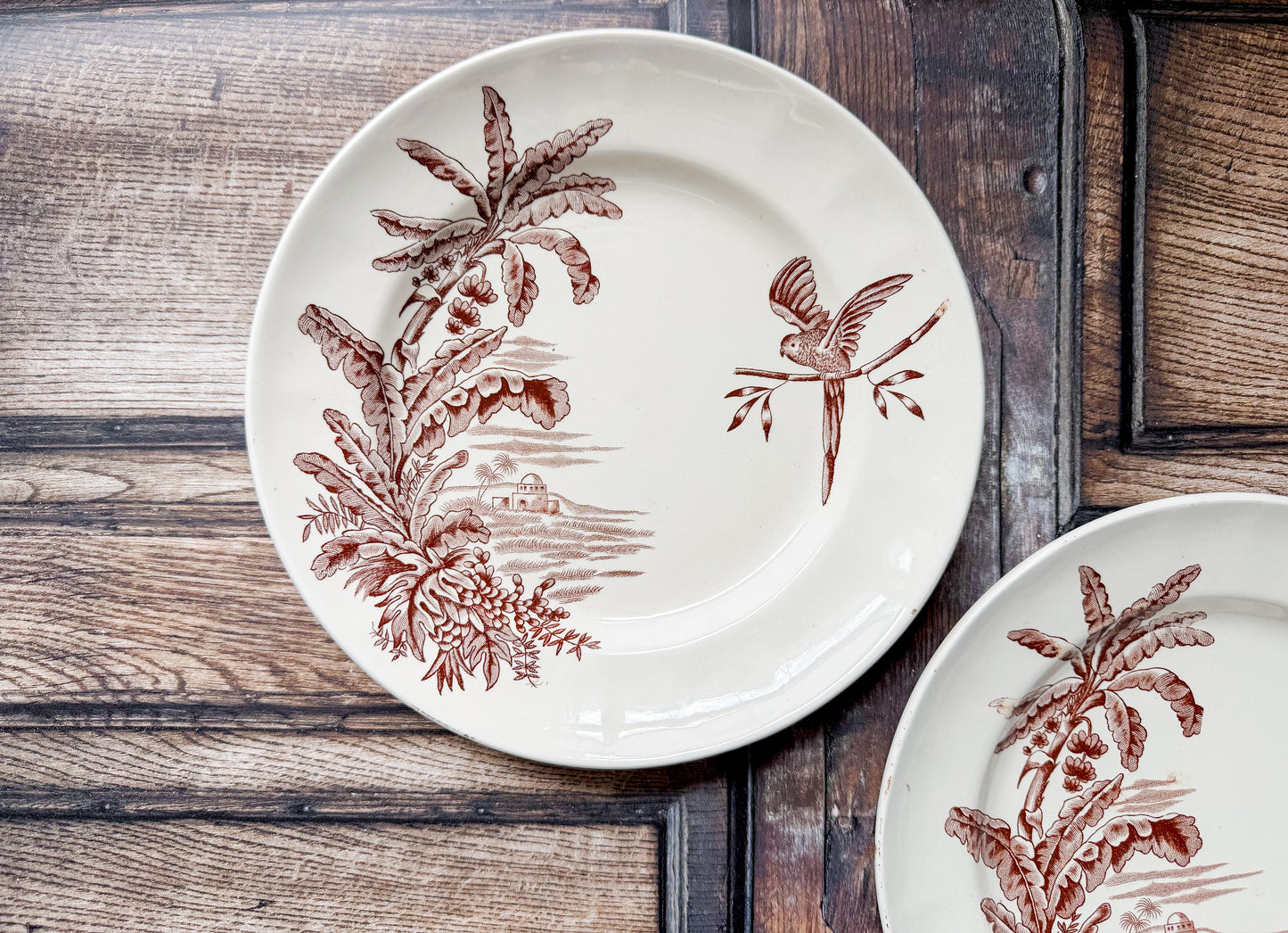 Set of 2 Exotique by Longchamp French Terre de Fer Ironstone Dinner Plates, c1900