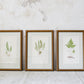 Antique Fern Bookplates (c1860) in Custom Beaded Gold Frames and Celery Green Mat