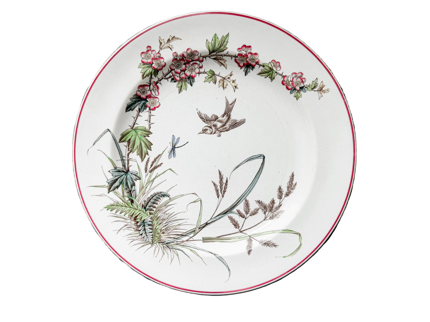 A round white ceramic plate with a red rim and a botanical illustration featuring pink flowers, green leaves, and a small bird, displayed on a rustic wooden plank surface.