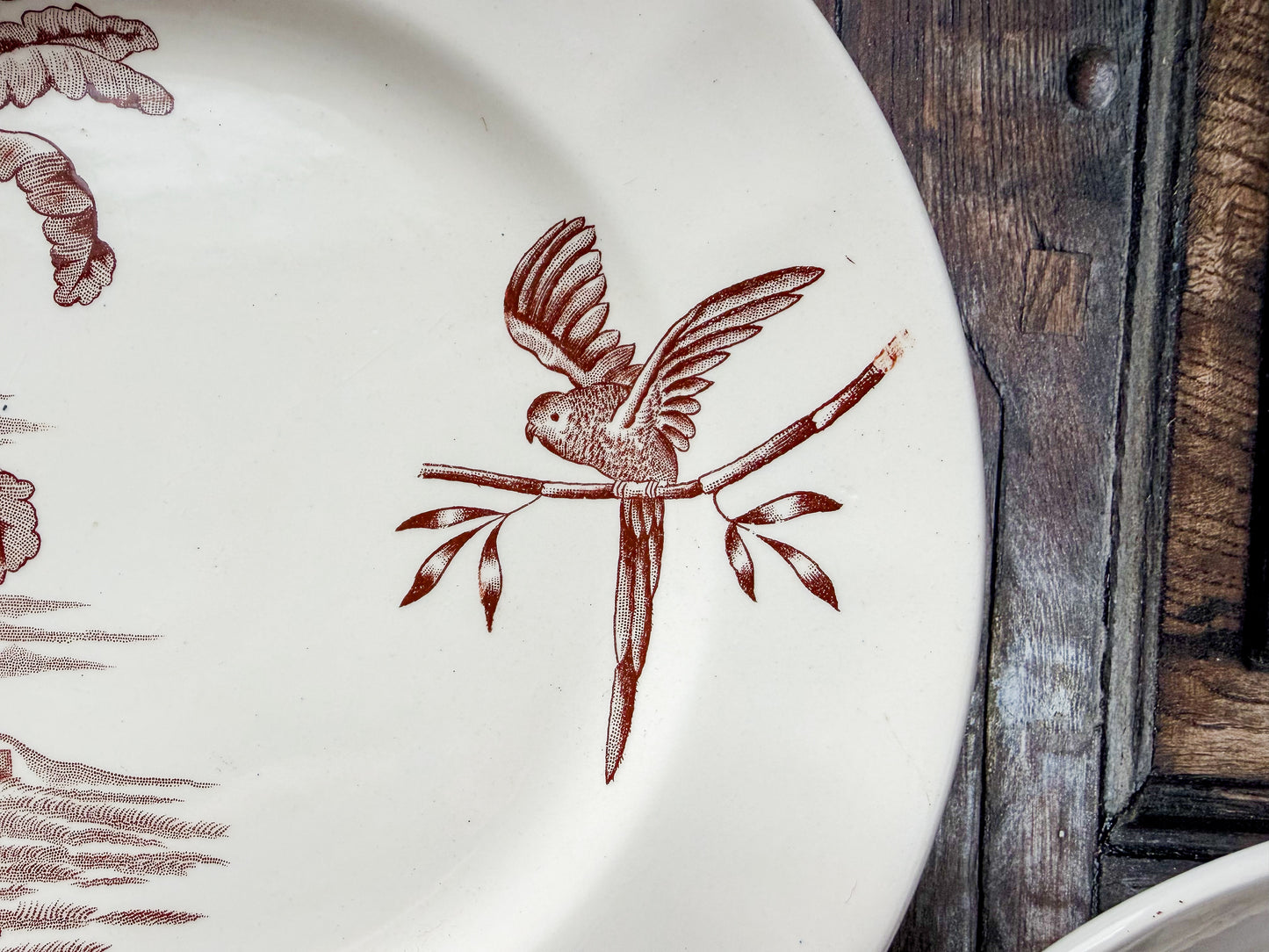 Set of 2 Exotique by Longchamp French Terre de Fer Ironstone Dinner Plates, c1900