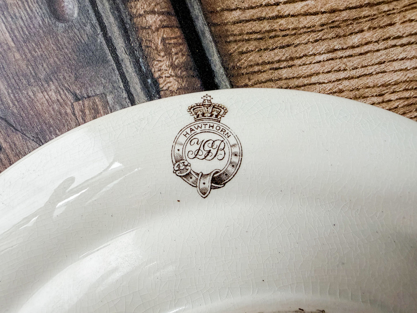 Hawthorn by T.G. Booth Polychrome Aesthetic Movement Dinner Plate, c1880