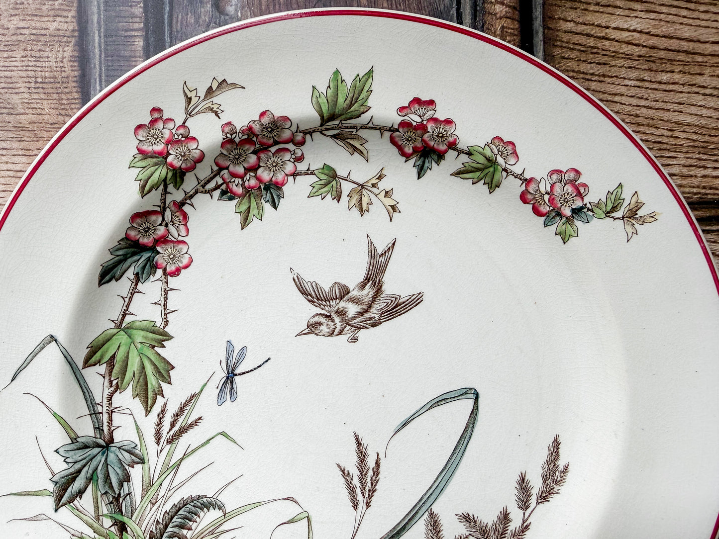 Hawthorn by T.G. Booth Polychrome Aesthetic Movement Dinner Plate, c1880