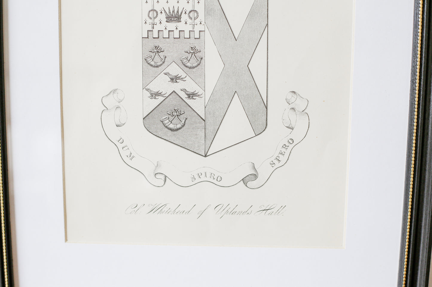 19th Century Coat of Arms of Col. Whitehead, Uplands Hall, Lancashire | Contemporary Black and Gilt Frame