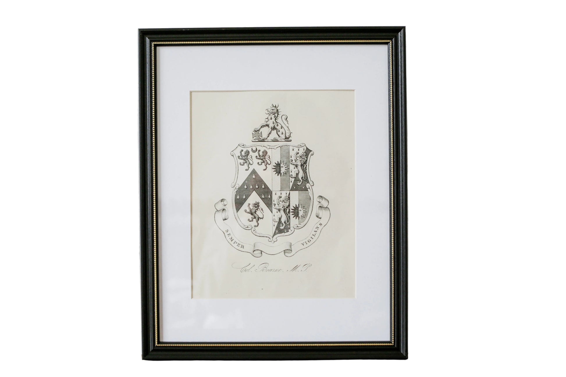 Framed family crest on a textured wall