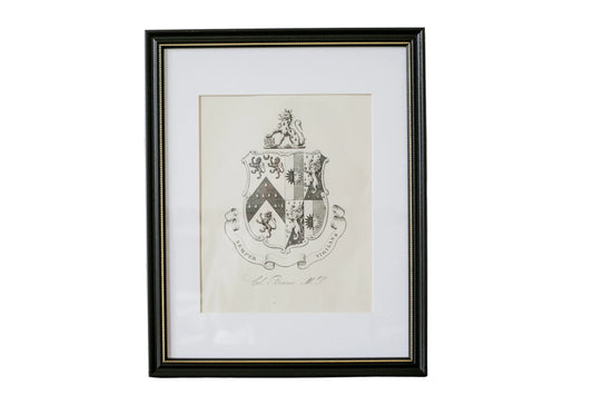 Framed family crest on a textured wall