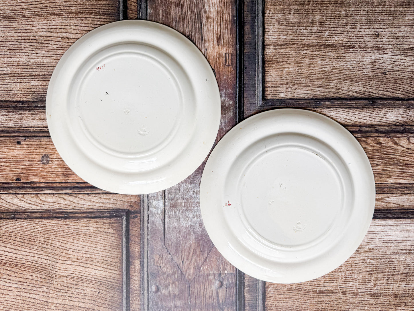 Set of 2 Copeland Palms & Egret Ironstone Polychrome 8.5" Salad Plates, c1870
