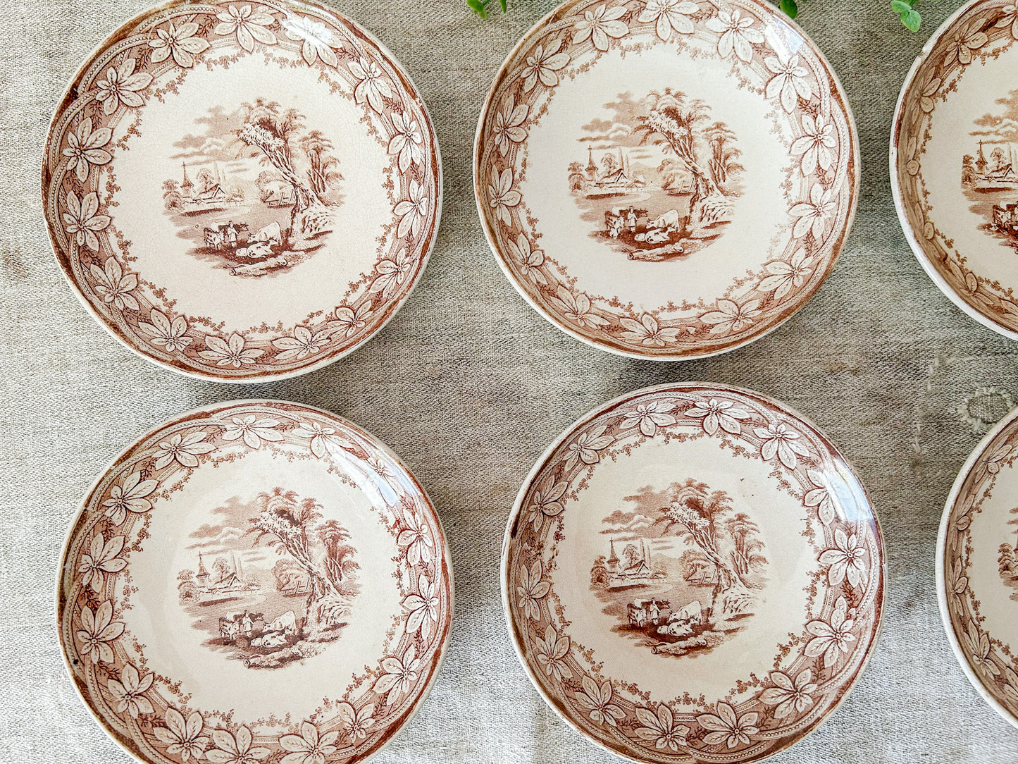 Set of 6 Antique Ironstone 7” Bowls - Chestnut by F & Co