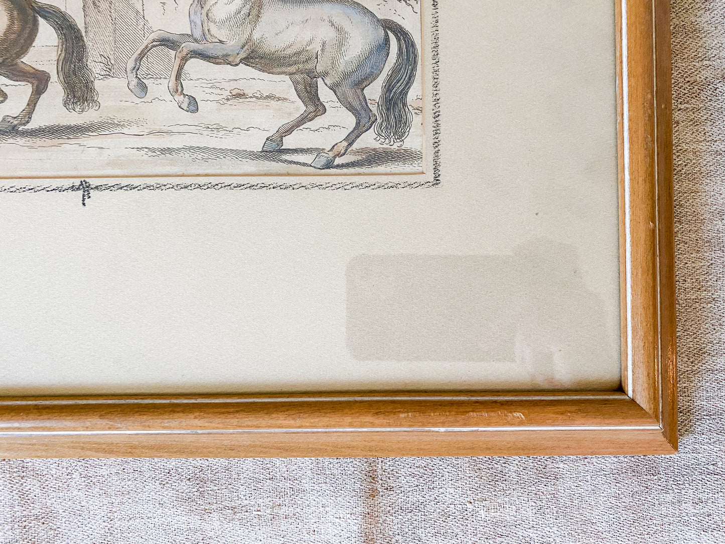 Pair Of Antique Hand Colored Horse Equestrian Engravings