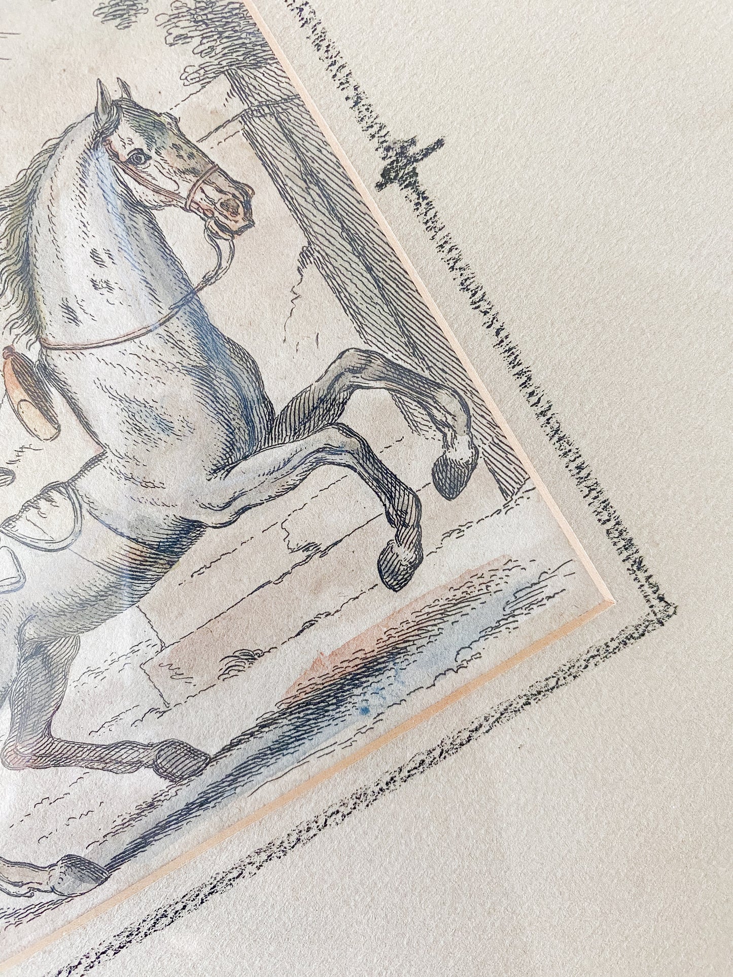 Pair Of Antique Hand Colored Horse Equestrian Engravings