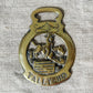 CHOICE Vintage Horse Brass Equestrian Medals - Tally-Ho & Horse