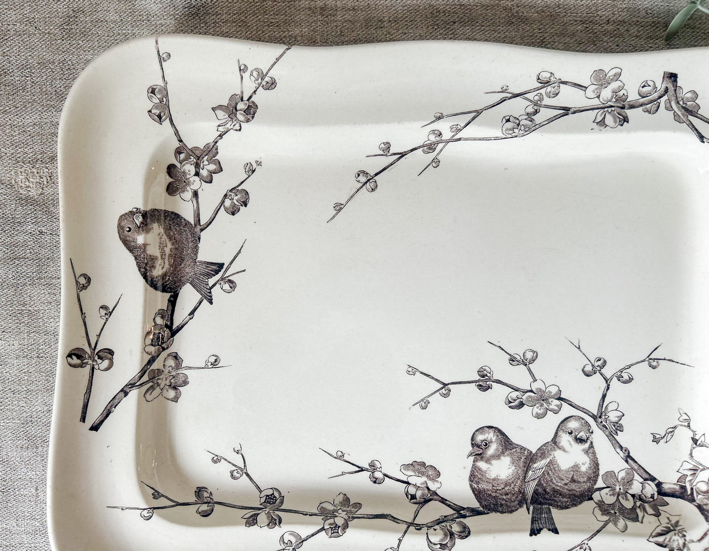 Antique George Jones & Son Large Ironstone Bird Platter, c1880