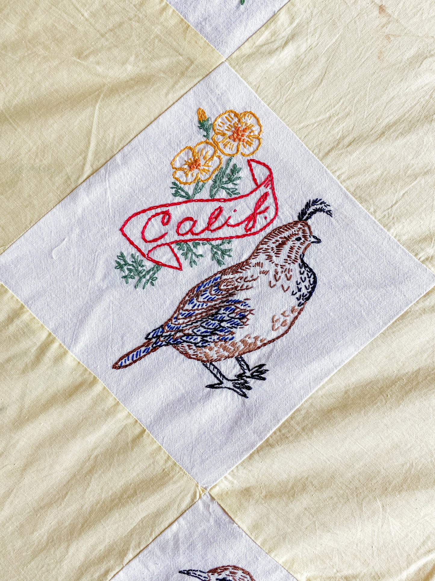 Vintage 48 State Bird & Flower Quilt TOP with Backing Fabric