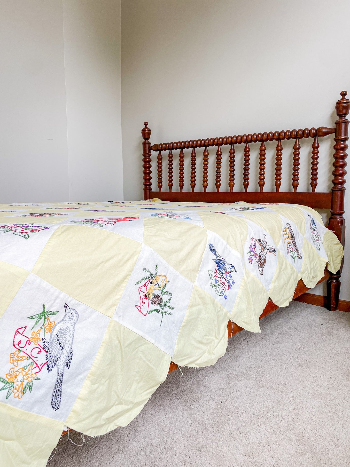 Vintage 48 State Bird & Flower Quilt TOP with Backing Fabric