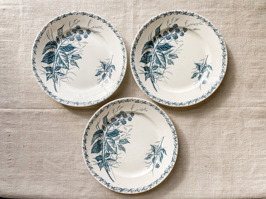 Set of 3 "Mûre" by Badonvillier French Ironstone Teal Transferware 8" Plates, c1930