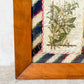 Framed Antique Crazy Quilt Block