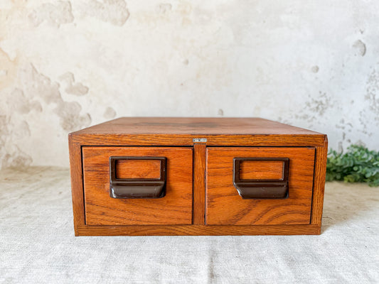 Vintage Globe Wernicke Two Drawer Library Card Catalog
