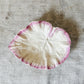 Vintage Earthenware Cream and Pink Leaf Dish